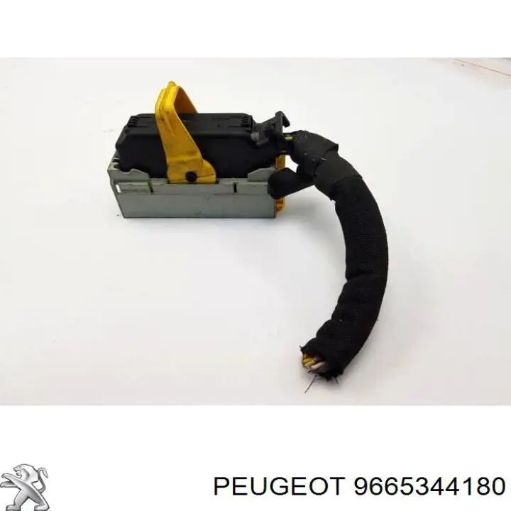  9665344180 Peugeot/Citroen