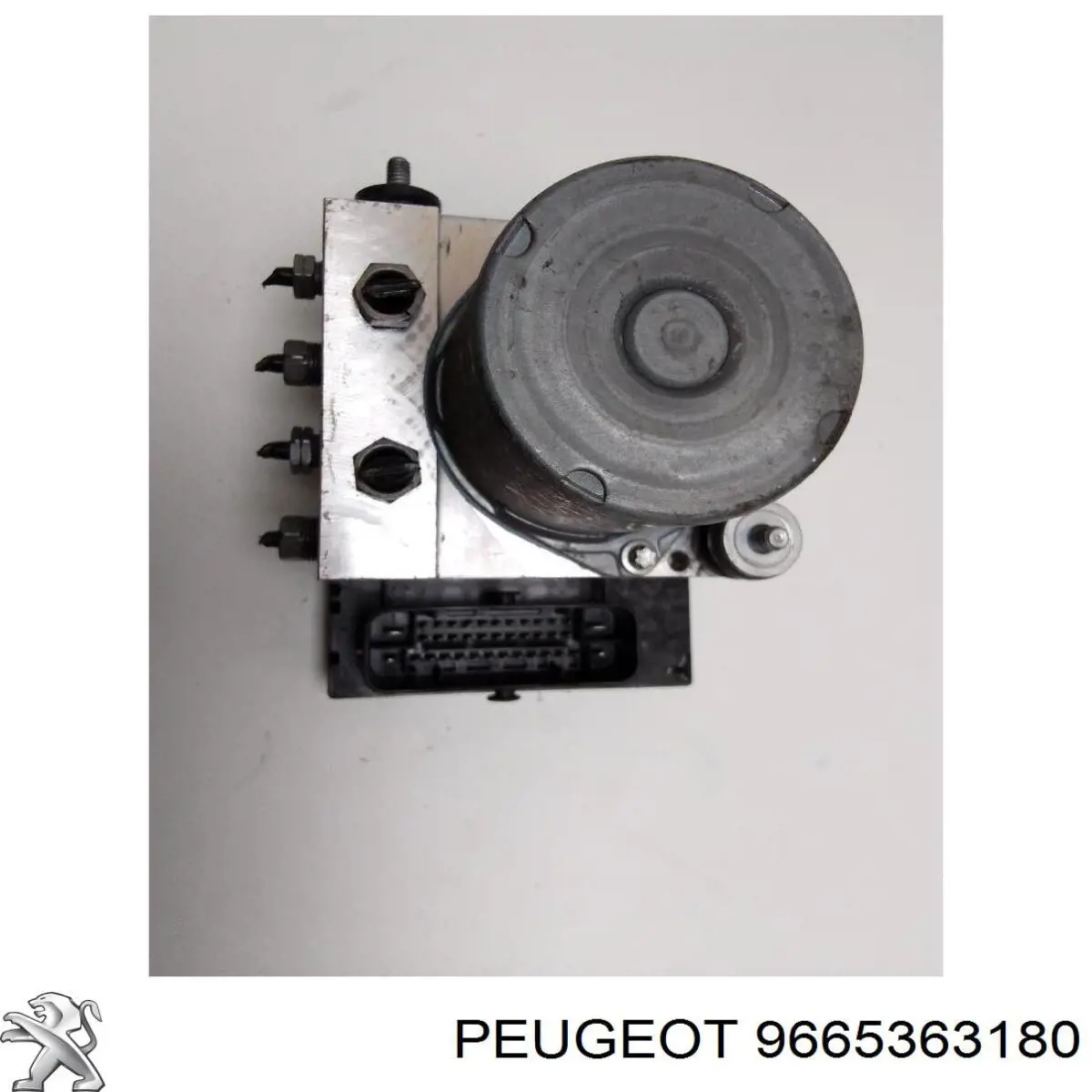 9665363180 Peugeot/Citroen 