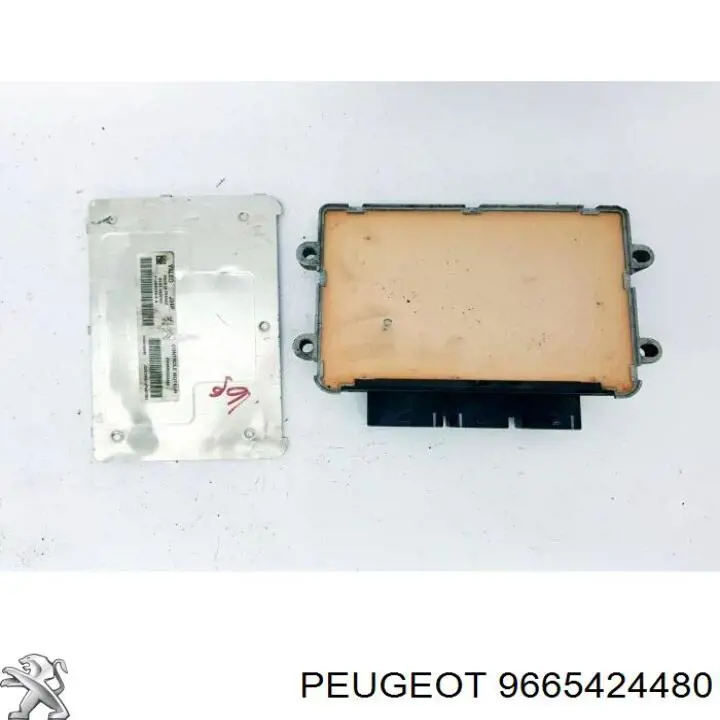 Compre 9665424480 Peugeot/Citroen 