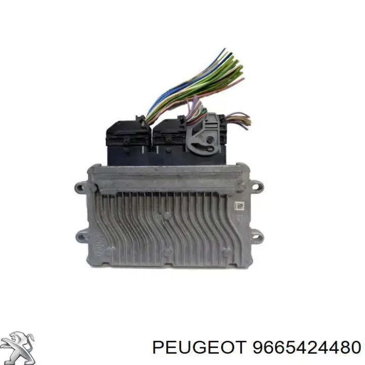9665424480 Peugeot/Citroen 