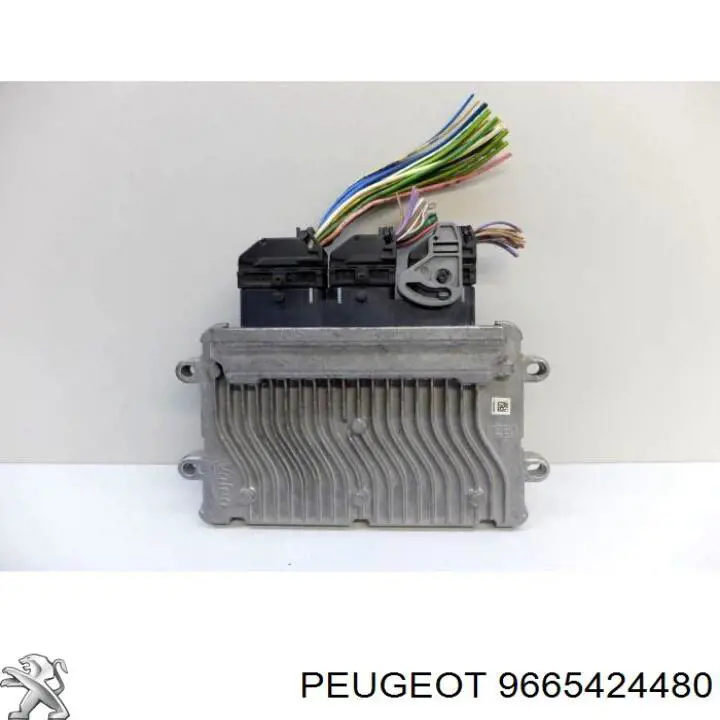  9665424480 Peugeot/Citroen