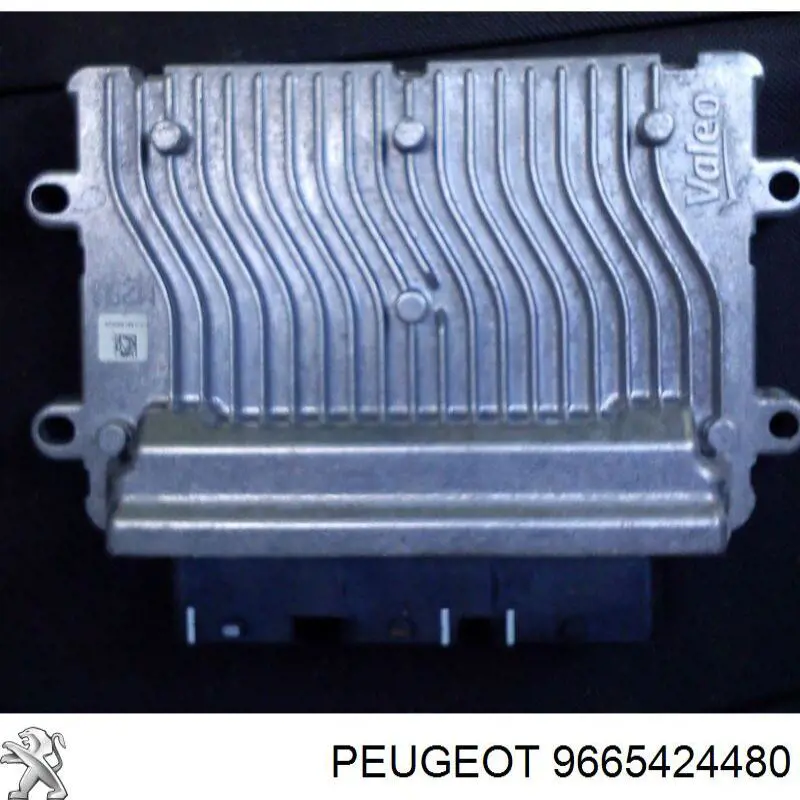 9665424480 Peugeot/Citroen 