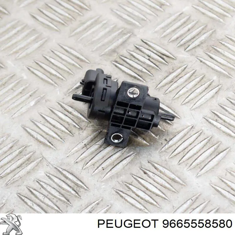 9665558580 Peugeot/Citroen 