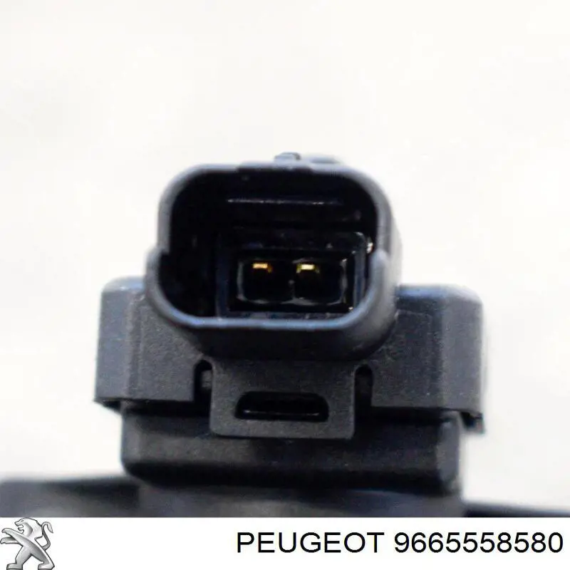  Peugeot/Citroen 9665558580
