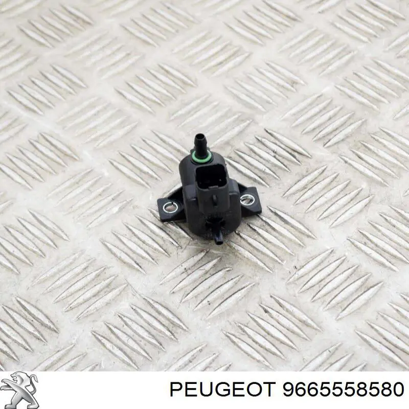 9665558580 Peugeot/Citroen