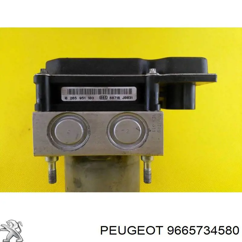 Compre 9665734580 Peugeot/Citroen 