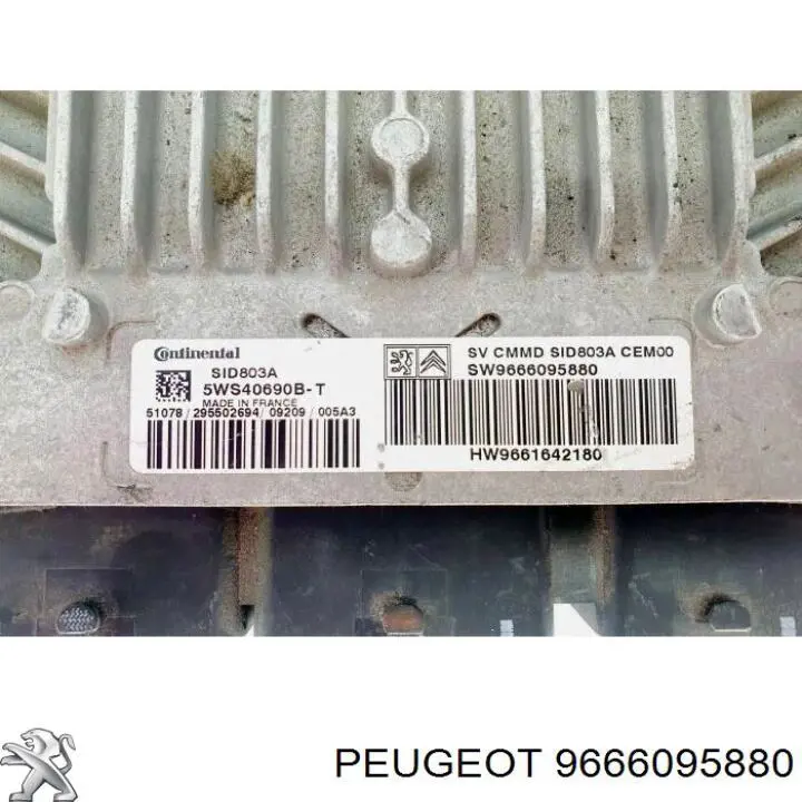 Compre 9666095880 Peugeot/Citroen 
