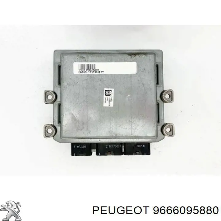 9666095880 Peugeot/Citroen 