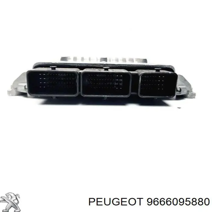 9666095880 Peugeot/Citroen 