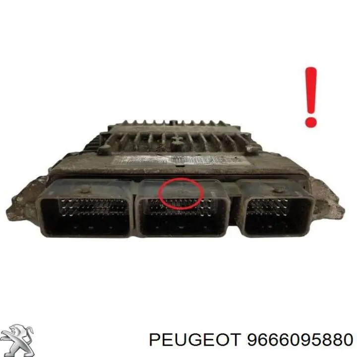 Compre 9666095880 Peugeot/Citroen 