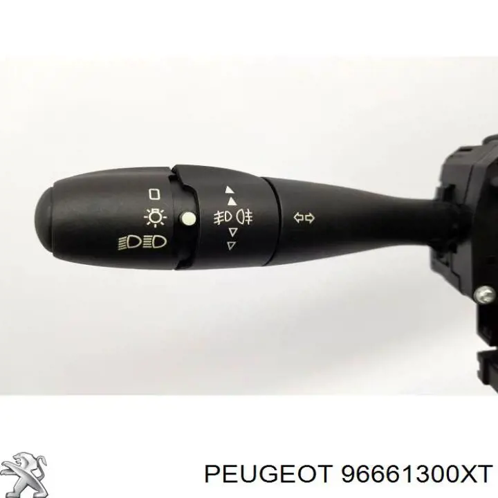 96661300XT Peugeot/Citroen 