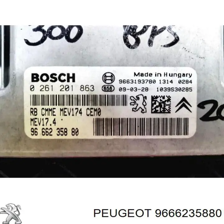 9666235880 Peugeot/Citroen 