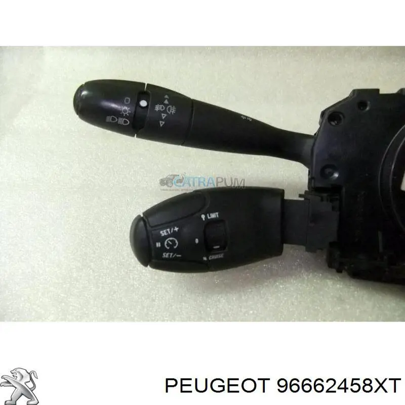 96662458XT Peugeot/Citroen 