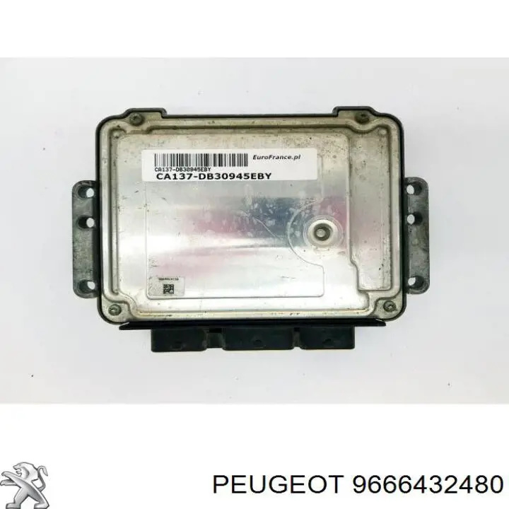 9666432480 Peugeot/Citroen 