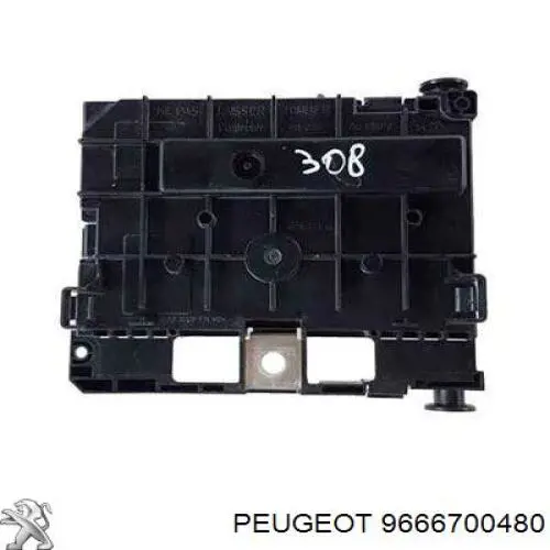 Compre 9666700480 Peugeot/Citroen Unidade de dispositivos de segurança