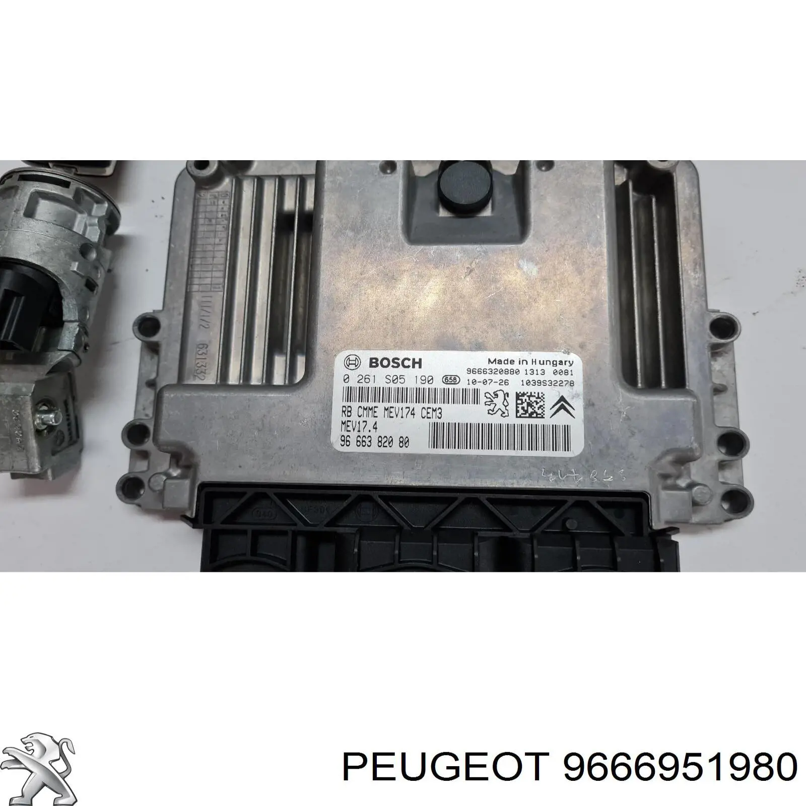 9666951980 Peugeot/Citroen 