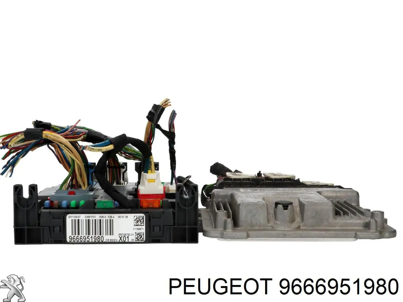  Peugeot/Citroen 9666951980