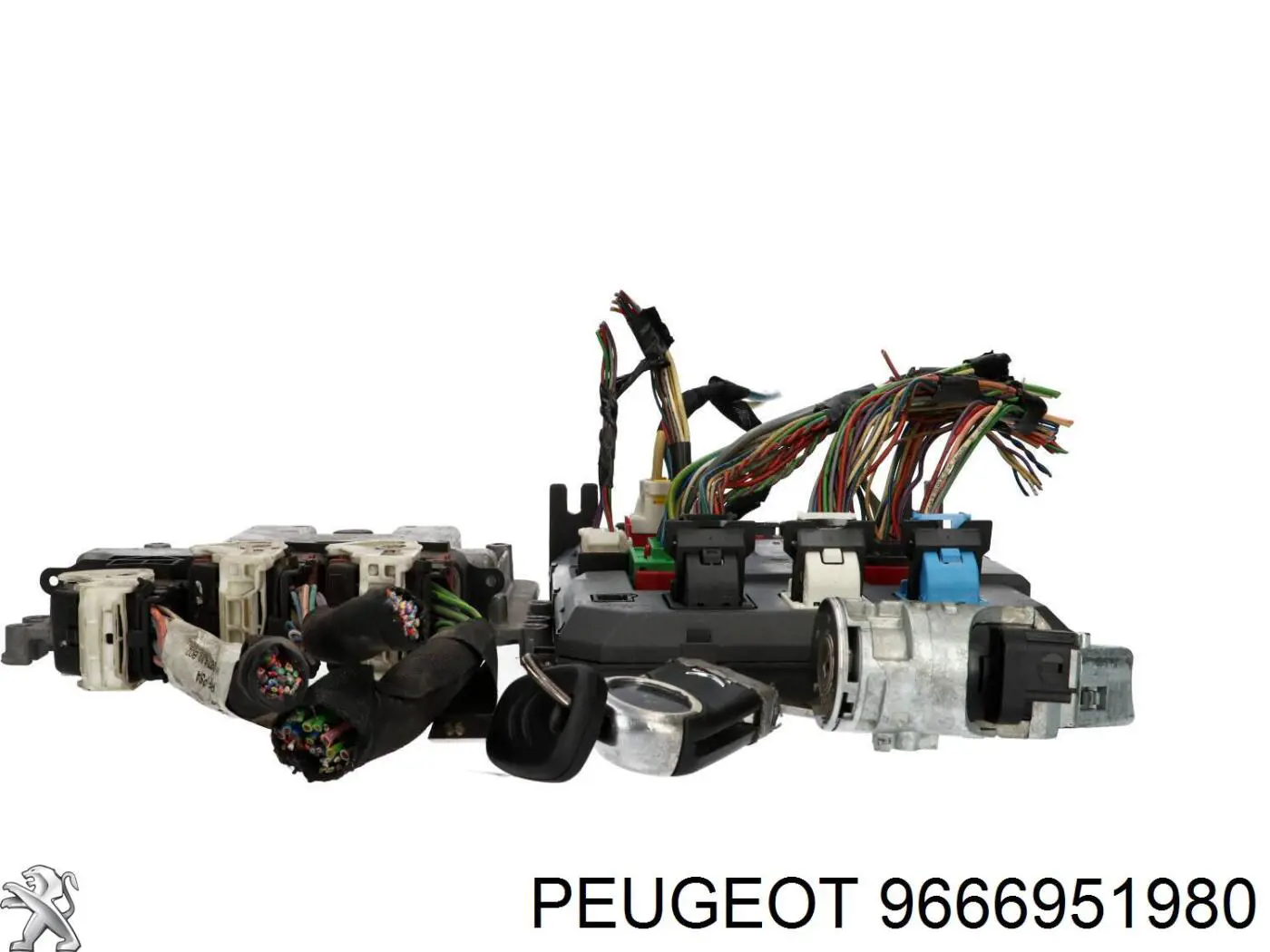  9666951980 Peugeot/Citroen