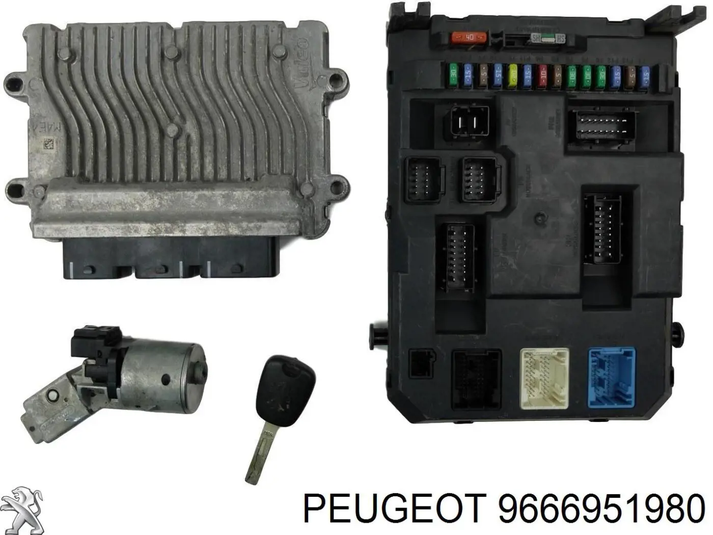  9666951980 Peugeot/Citroen