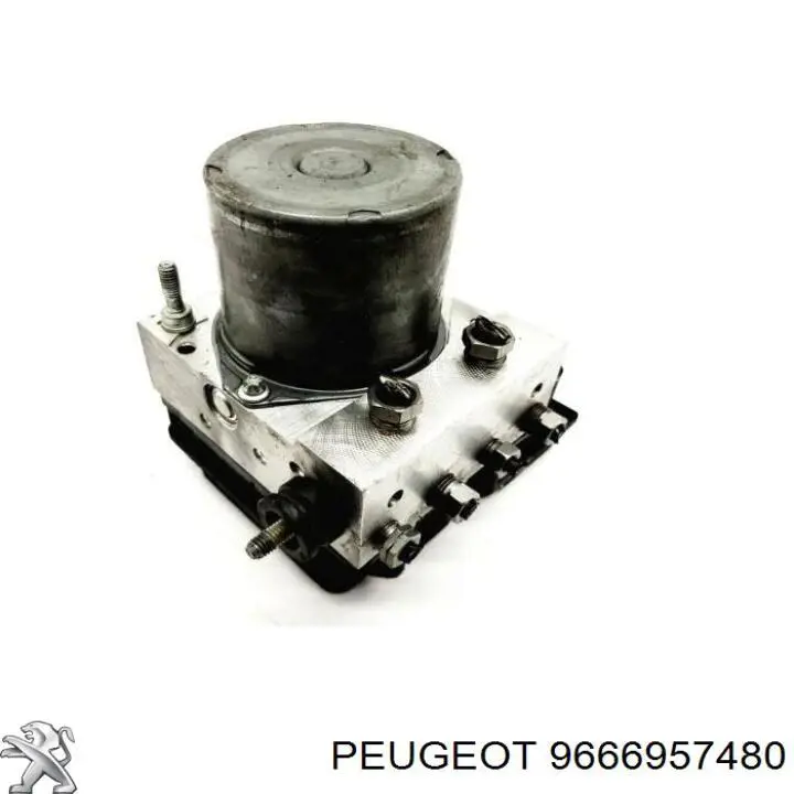  Peugeot/Citroen 9666957480 preço, a partir de 75,04 USD