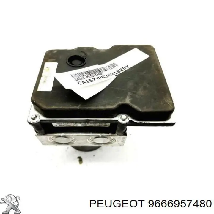 Compre 9666957480 Peugeot/Citroen 