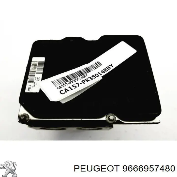  Peugeot/Citroen 9666957480