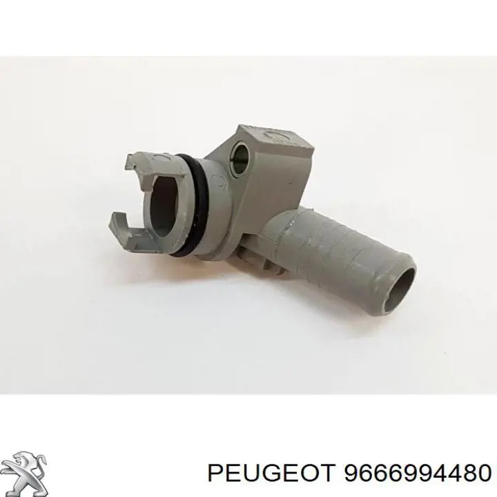 Compre 8C1Q8K524AA Ford Tubo de ligação do radiador de óleo