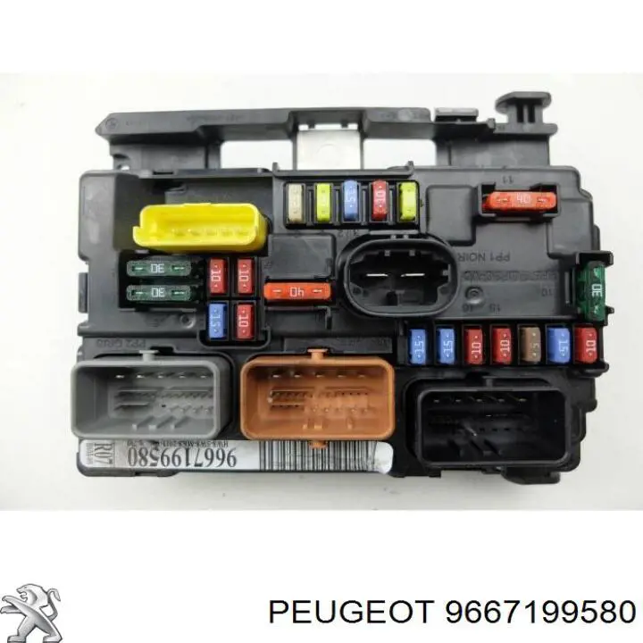 9667199580 Peugeot/Citroen 