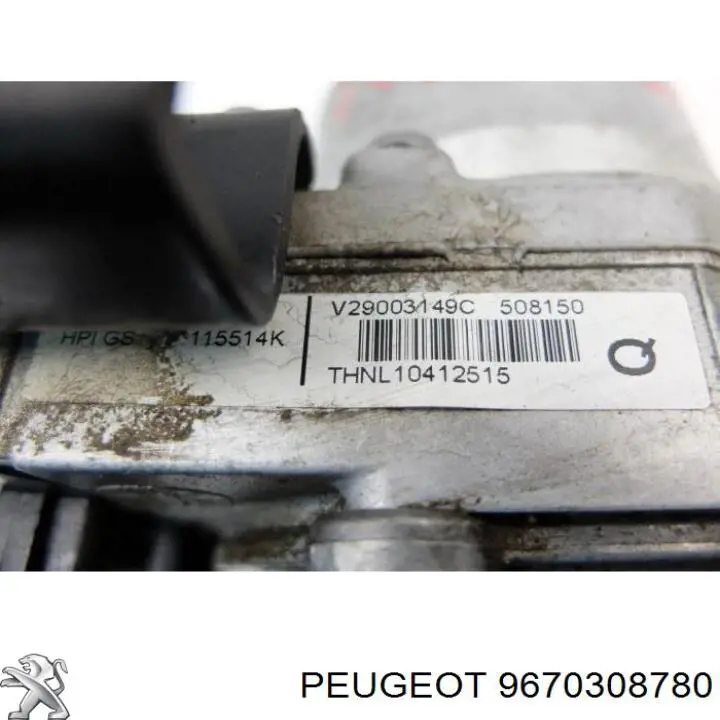 9670308780 Peugeot/Citroen 