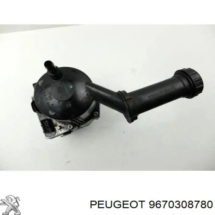  9670308780 Peugeot/Citroen