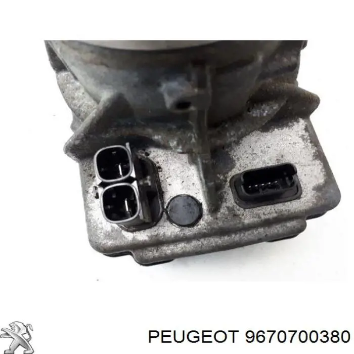 9670700380 Peugeot/Citroen Bomba da Direção hidrâulica assistida