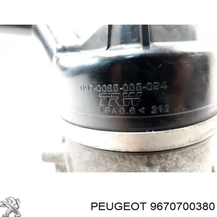 Bomba da Direção hidrâulica assistida 9670700380 Peugeot/Citroen