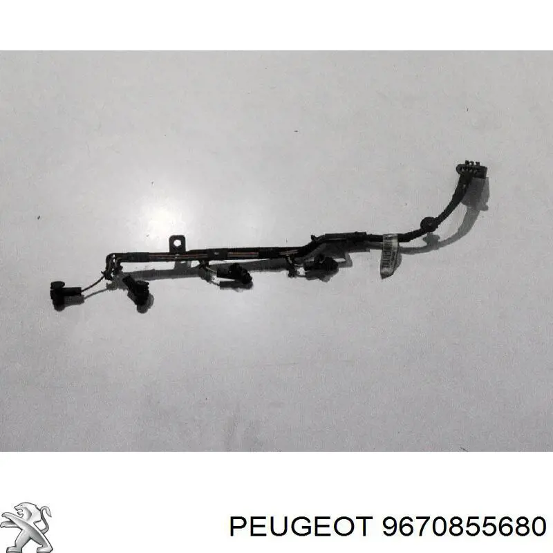 9670855680 Peugeot/Citroen 