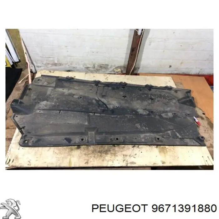  Peugeot/Citroen 9671391880
