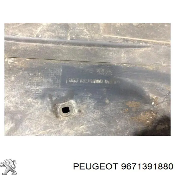9671391880 Peugeot/Citroen 