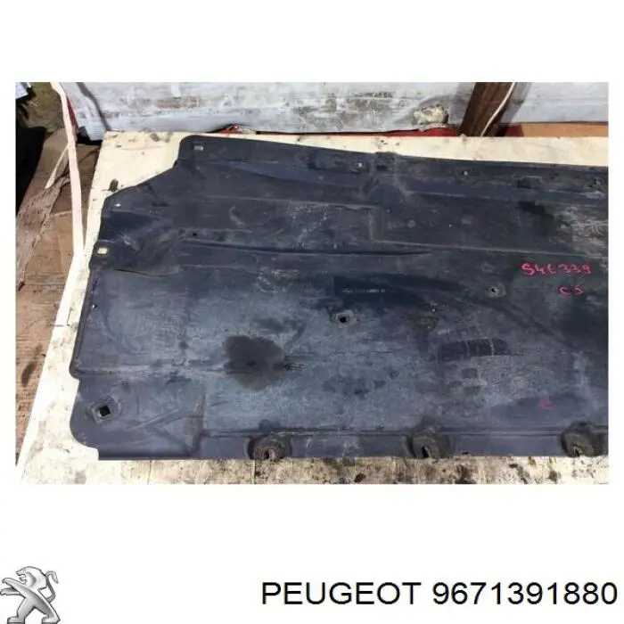 9671391880 Peugeot/Citroen 