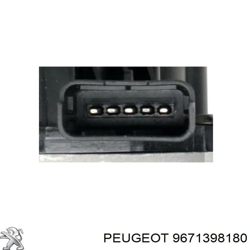 Válvula EGR de recirculação dos gases 9671398180 Peugeot/Citroen