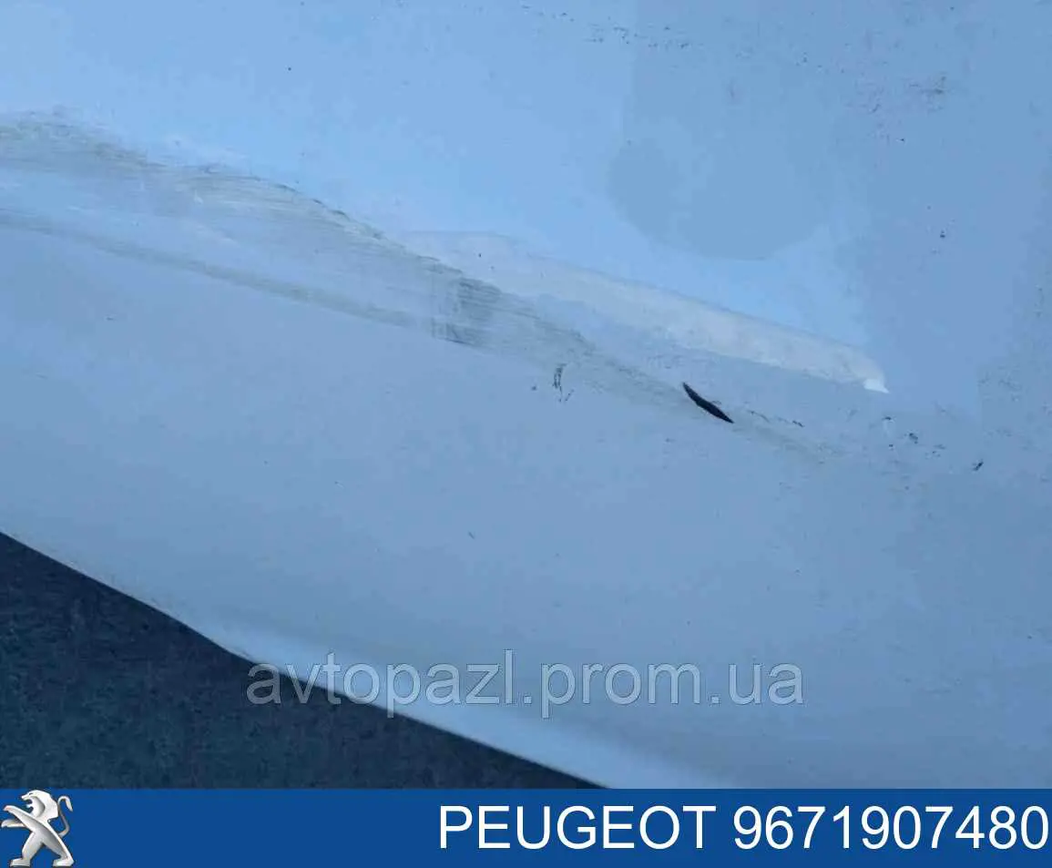 9671907480 Peugeot/Citroen Porta traseira direita