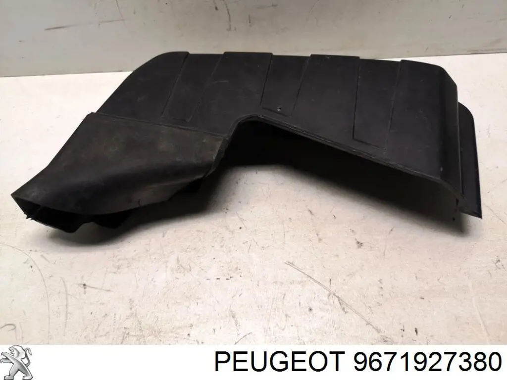 9671927380 Peugeot/Citroen Tampa de casco da Centralina eletrônica de motor
