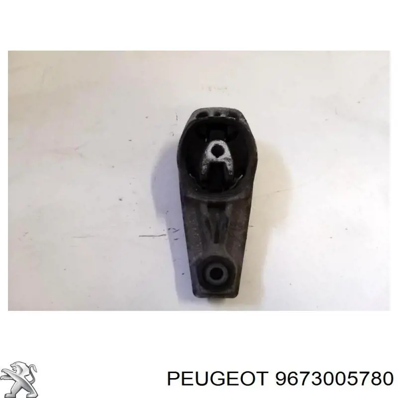 9673005780 Peugeot/Citroen 