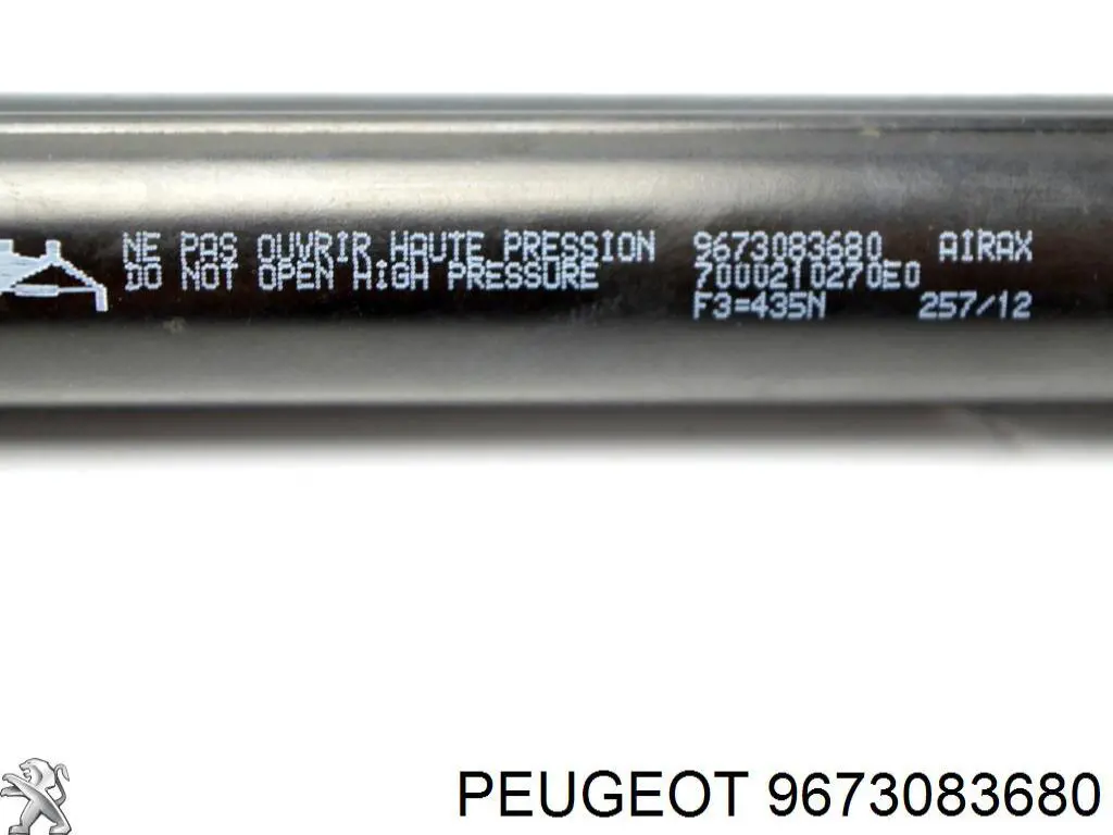 Compre 9673083680 Peugeot/Citroen Amortecedor de tampa de porta-malas (de 3ª/5ª porta traseira)