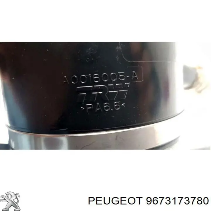 Bomba da Direção hidrâulica assistida 9673173780 Peugeot/Citroen