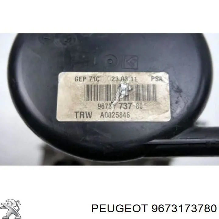 Bomba da Direção hidrâulica assistida Peugeot/Citroen 9673173780