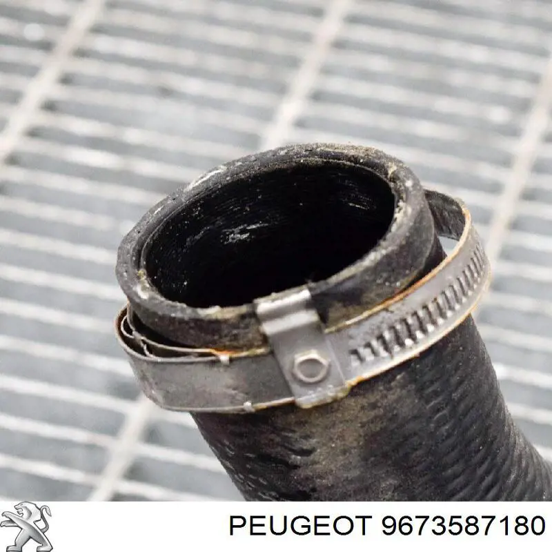 Mangueira (cano derivado) de intercooler Peugeot/Citroen 9673587180 preço, a partir de 56,18 USD