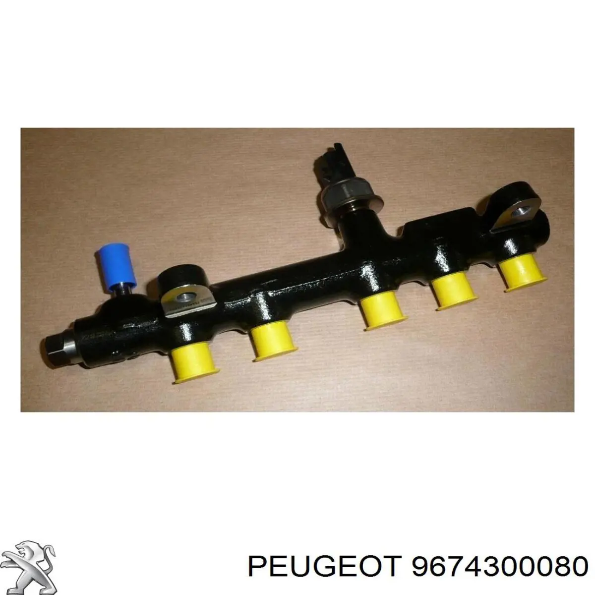 9674300080 Peugeot/Citroen Distribuidor de combustível (rampa)