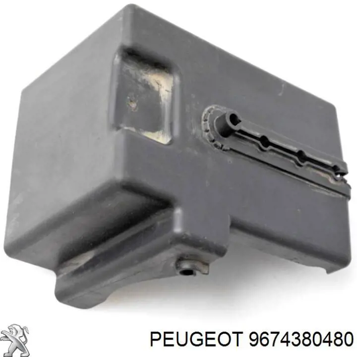 9674380480 Peugeot/Citroen 