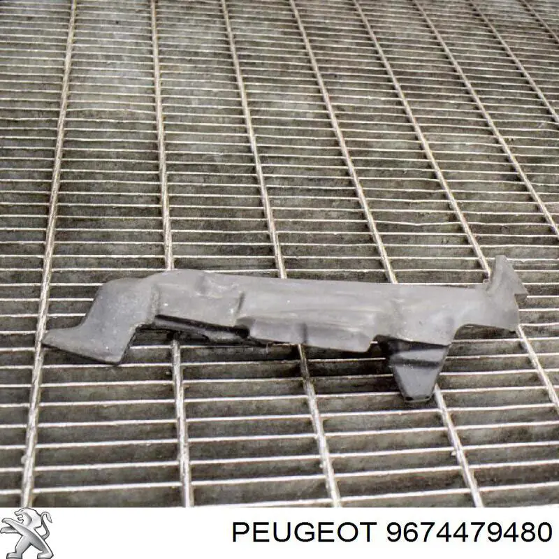  Peugeot/Citroen 9674479480 preço, a partir de 29,89 USD