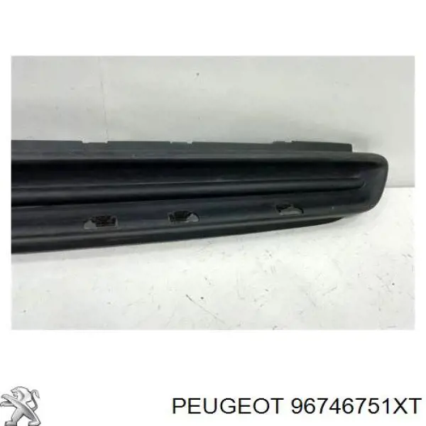96746751XT Peugeot/Citroen Grelha central do pára-choque dianteiro