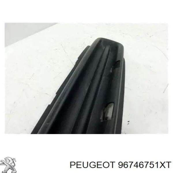 Grelha central do pára-choque dianteiro Peugeot/Citroen 96746751XT preço, a partir de 38,87 USD