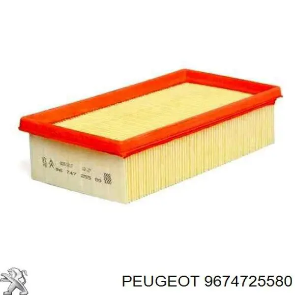 9674725580 Peugeot/Citroen Filtro de ar